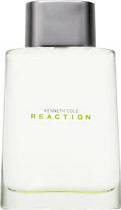 Kenneth Cole Reaction Men